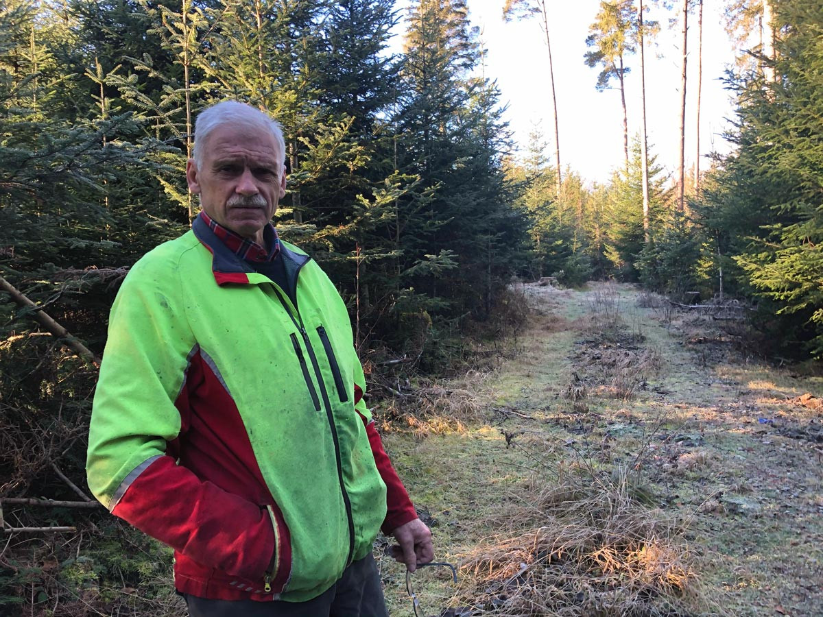 Andreas Ziegler führt auf gepflegten Waldwegen durchs Götzenwäldle