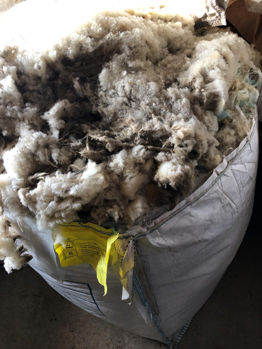 Bio-Schafwolle ist am Markt gefragt.