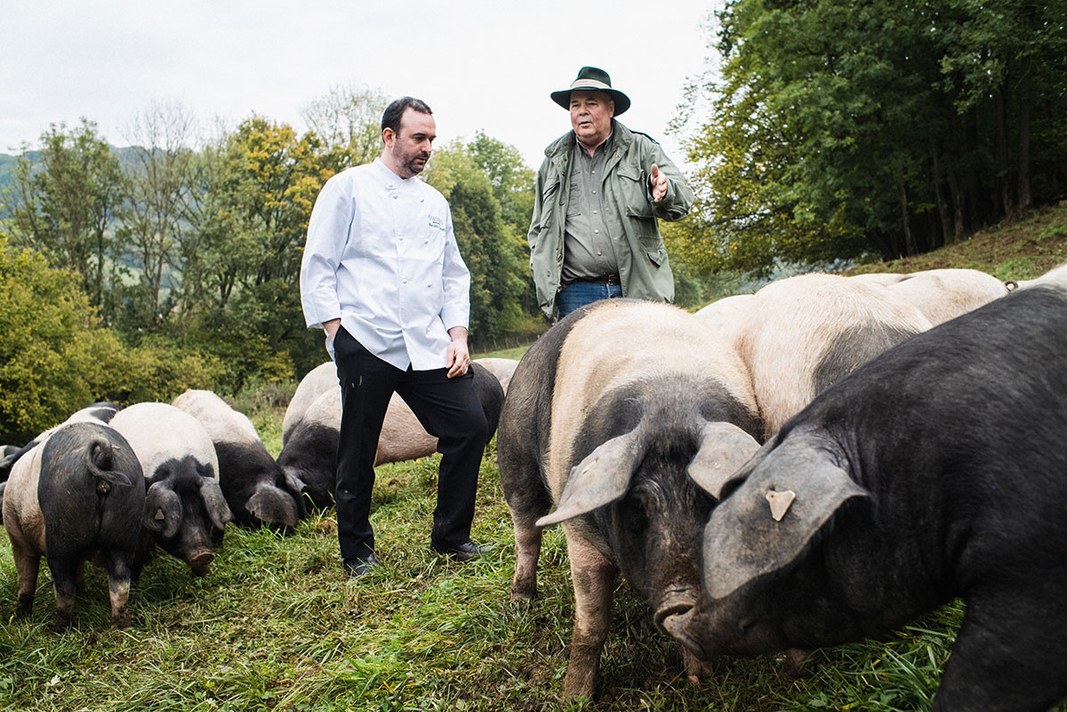 Gastronom Marcello Gallotti besucht mit Rudolf Bühler dessen Weide mit Schwäbisch-Hällischen Bio-Weideschweinen in Hohenlohe.